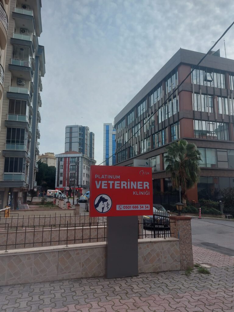 maltepe-veteriner-foto-02